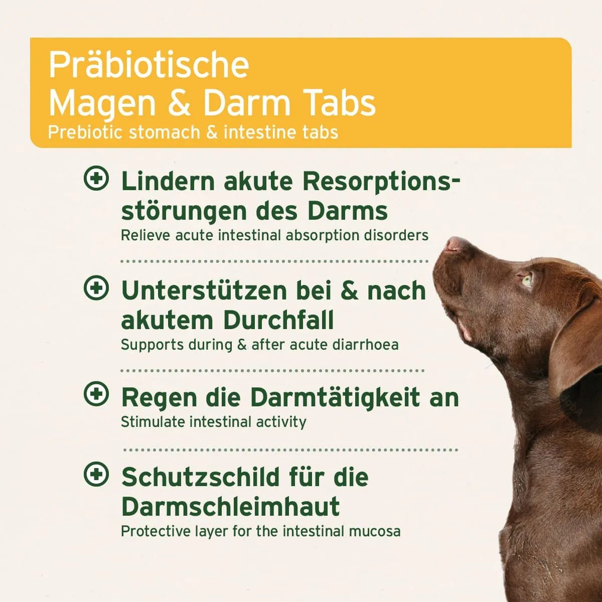 AniForte plus Magen & Darm 90 Stk.