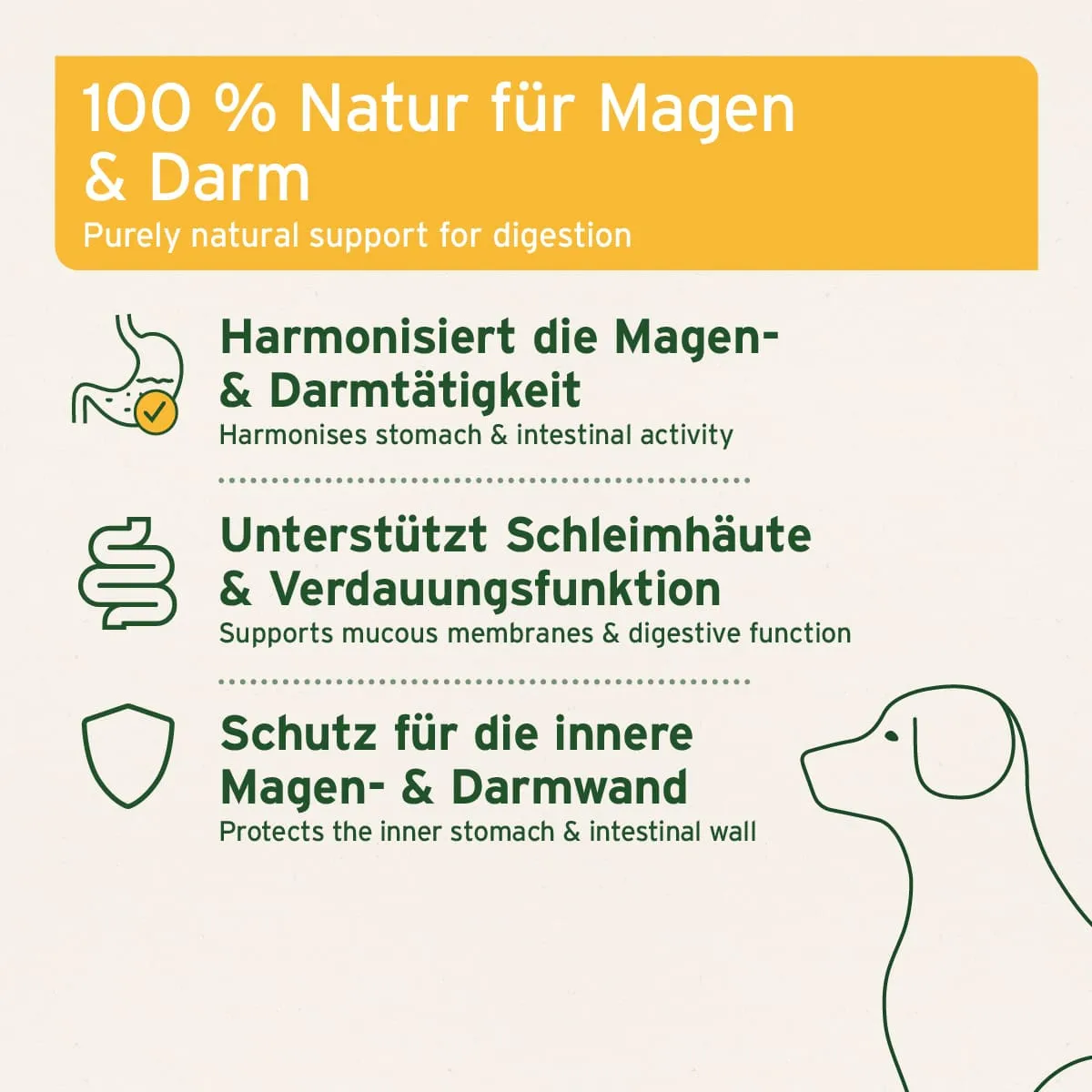AniForte Ulmenrinde Pulver 100g