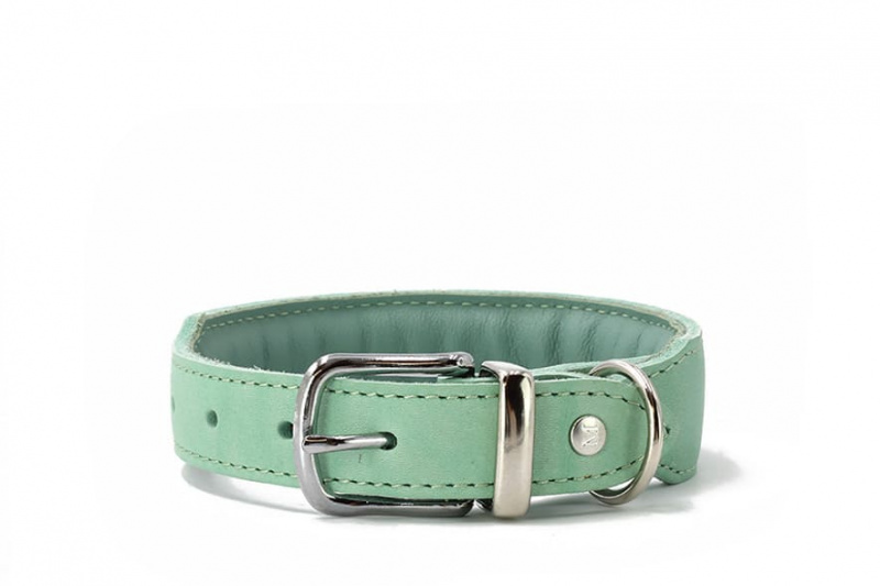 Maul Halsband Mono Pop mint 55cm / 35mm