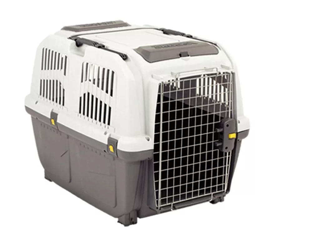 MPS Transportbox Skudo 6