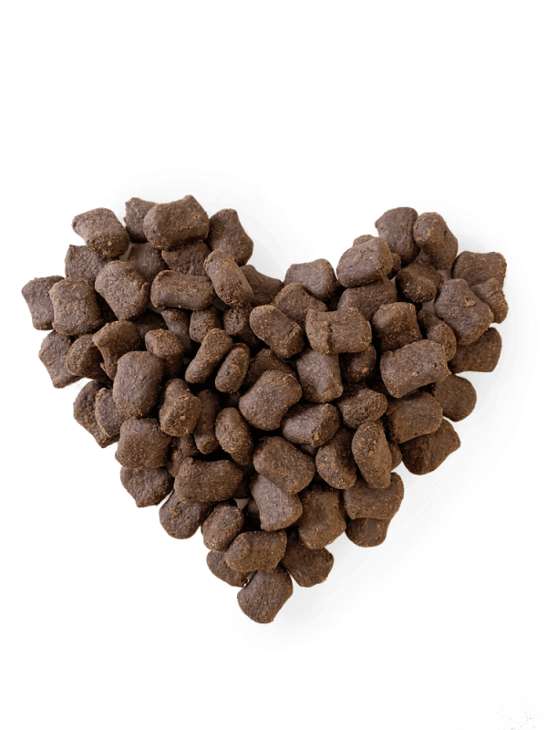 SwissNatural Soft Adult Rind & Kartoffel4kg