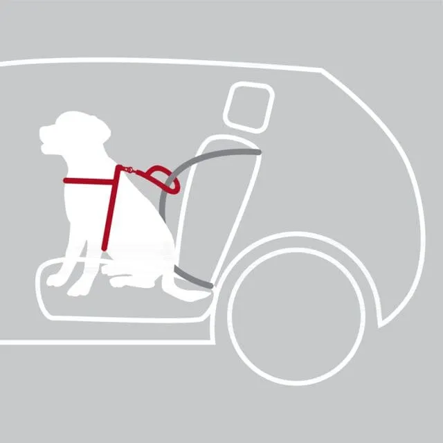 Auto-Geschirr Comfort, M: 50–65 cm/20 mm, schwarz