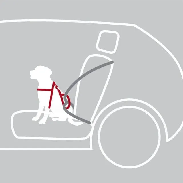 Auto-Geschirr Comfort, M: 50–65 cm/20 mm, schwarz