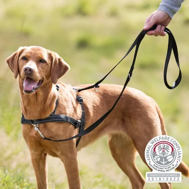 Trainingsgeschirr LeadnWalk Soft, S–M: 45–70 cm/25 mm, schwarz