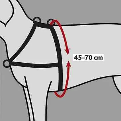 Trainingsgeschirr LeadnWalk Soft, S–M: 45–70 cm/25 mm, schwarz