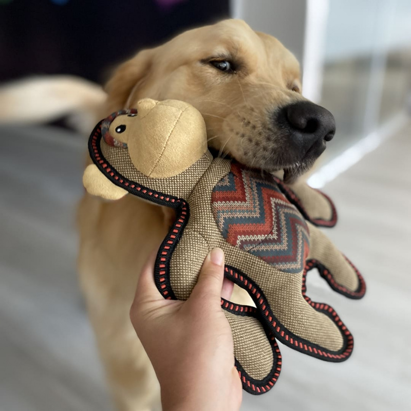 Canvas GORILLA 29x24x9cm braun