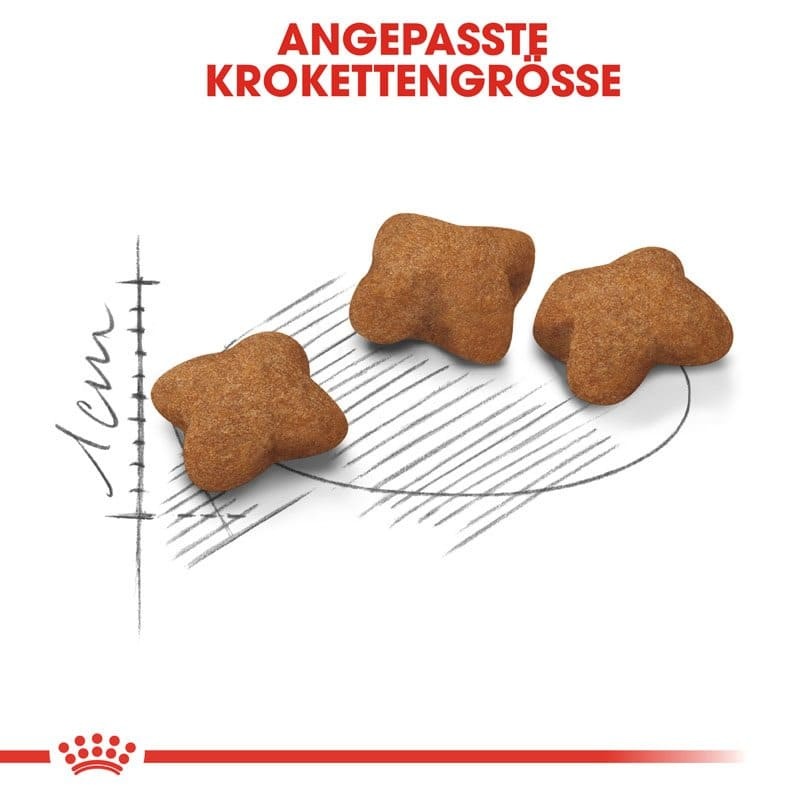 FHN Kitten Sterilised 2kg