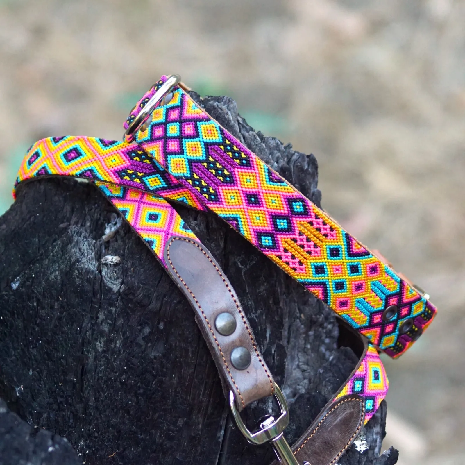 Hundehalsband Merida