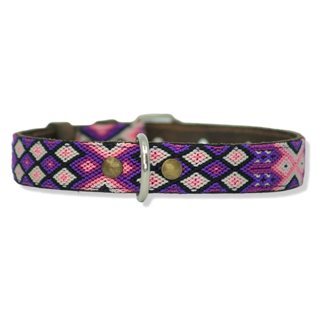 Hundehalsband Tonina