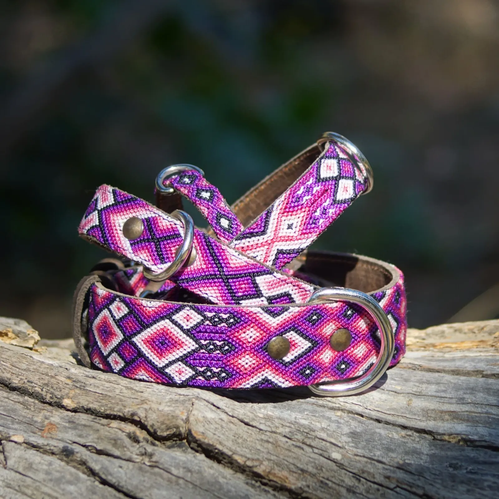 Hundehalsband Tonina