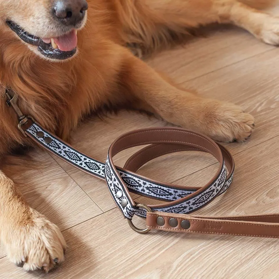 Hundeleine Tupoc S/M