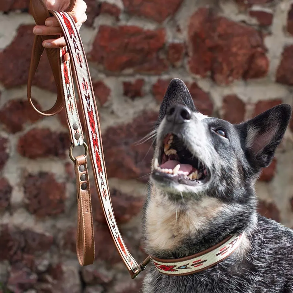 Hundeleine Tayanna L