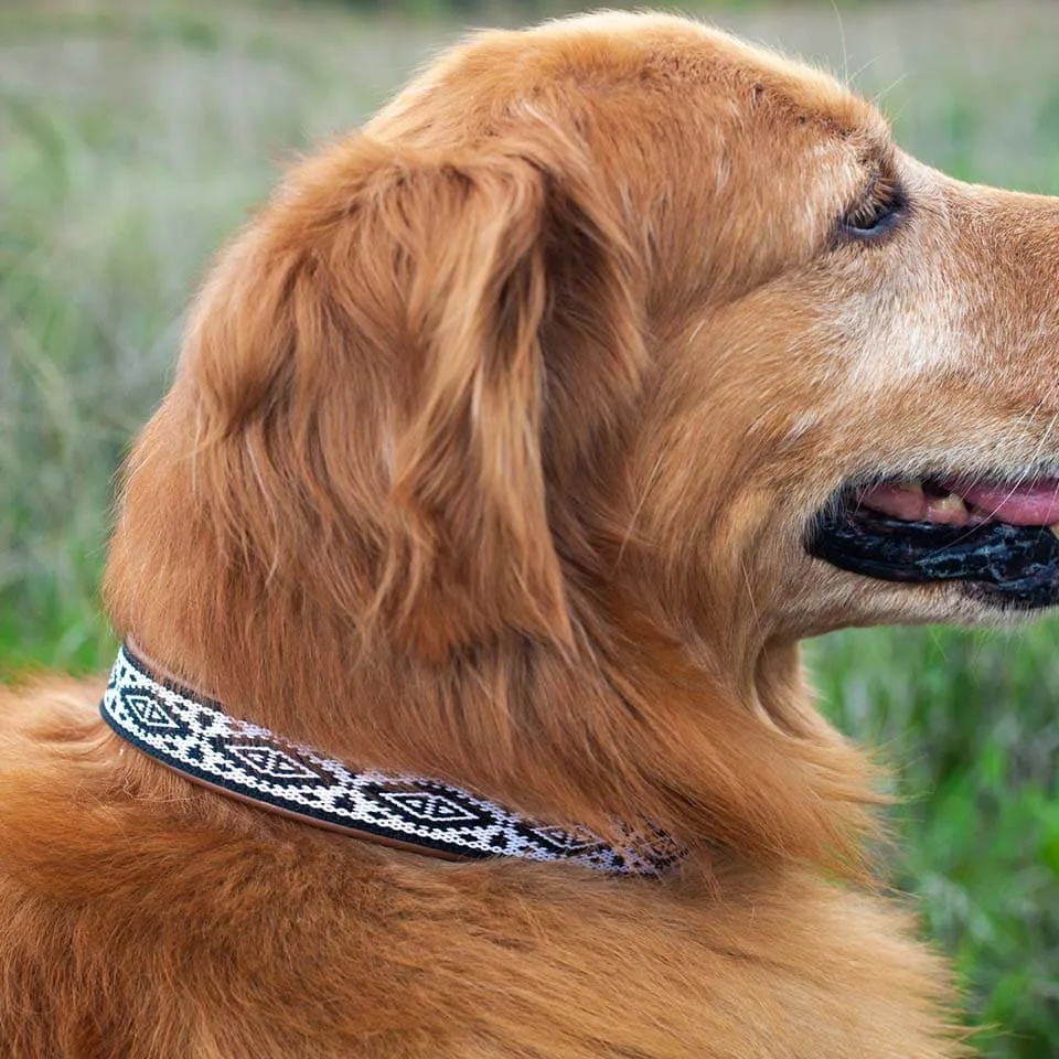 Hundehalsband Tupoc M