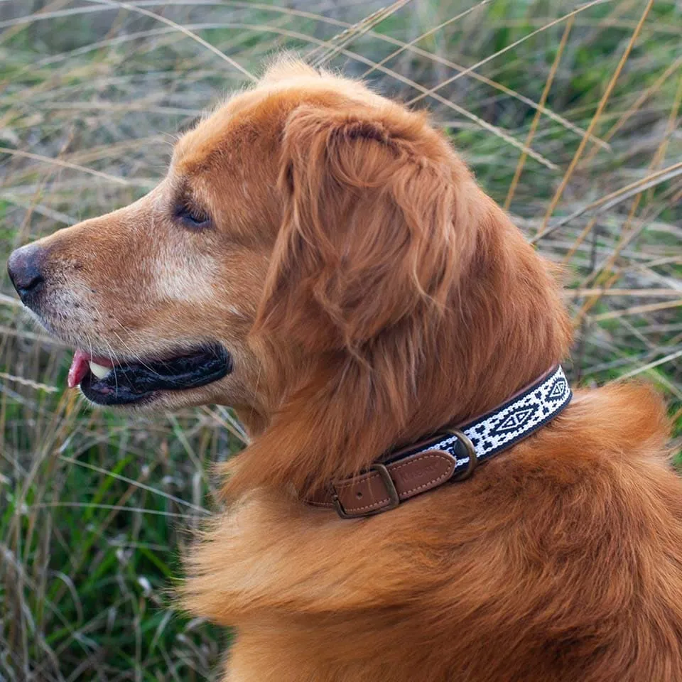 Hundehalsband Tupoc L