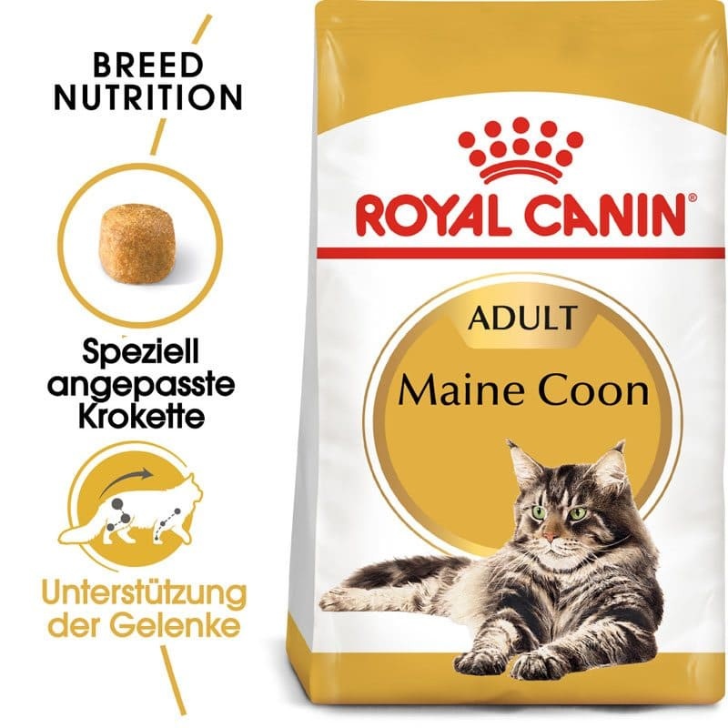 FBN Maine Coon 4kg