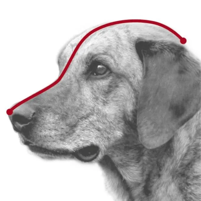 Maulkorb, Kunststoff, M–L, schwarz