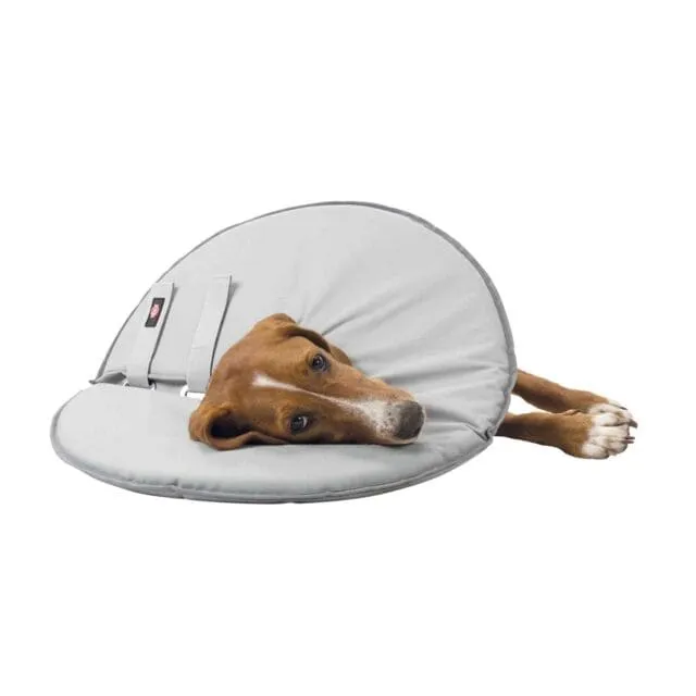 Schutzkragen, Polyester/Schaumstoff, S: 30–34 cm/19,5 cm, grau