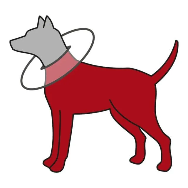 Schutzkragen, Polyester/Schaumstoff, M: 38–42 cm/21,5 cm, grau