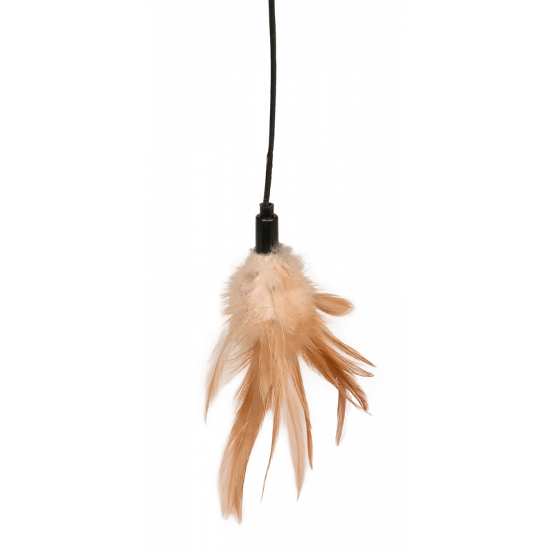 Katzenangel mit Feder