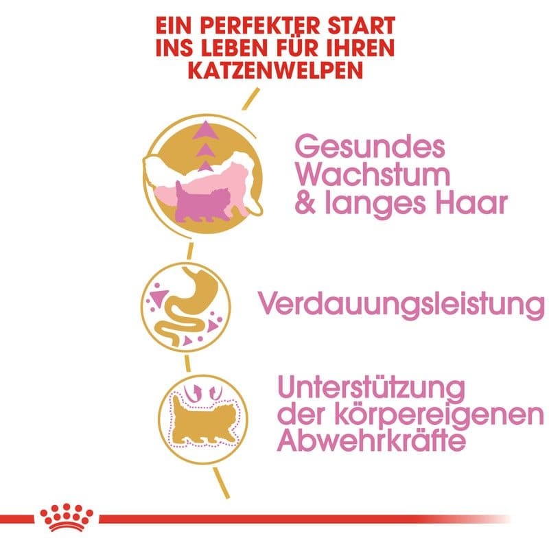 FBN Kitten Persian 400g