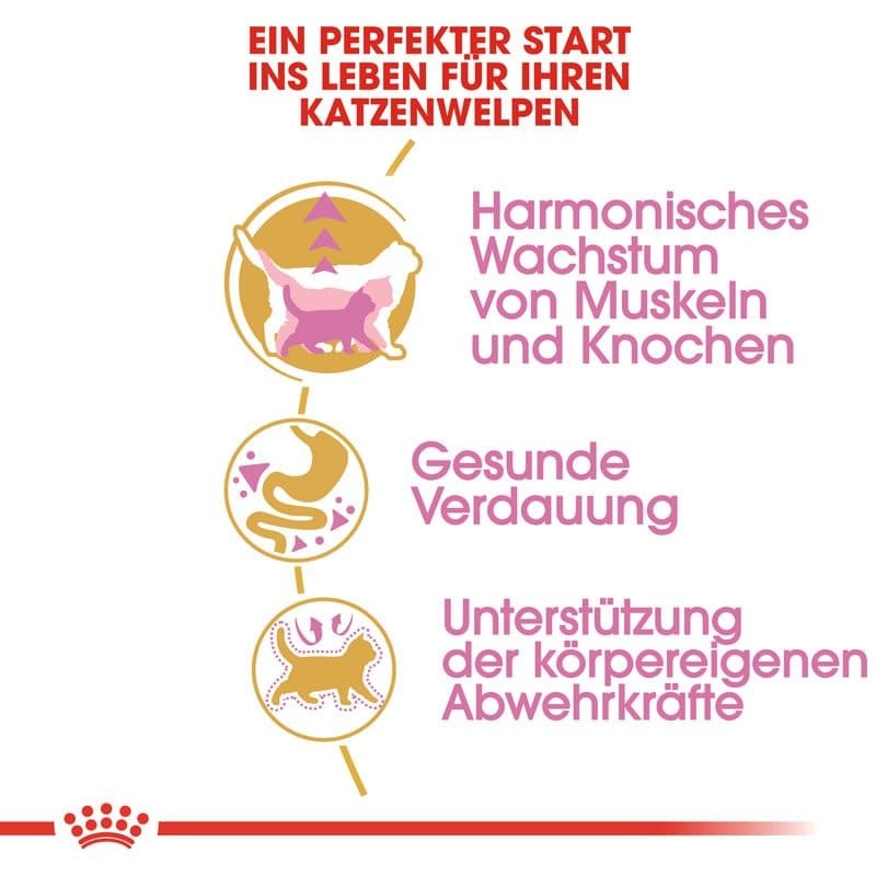 FBN Kitten Brit.Shorthair 400g