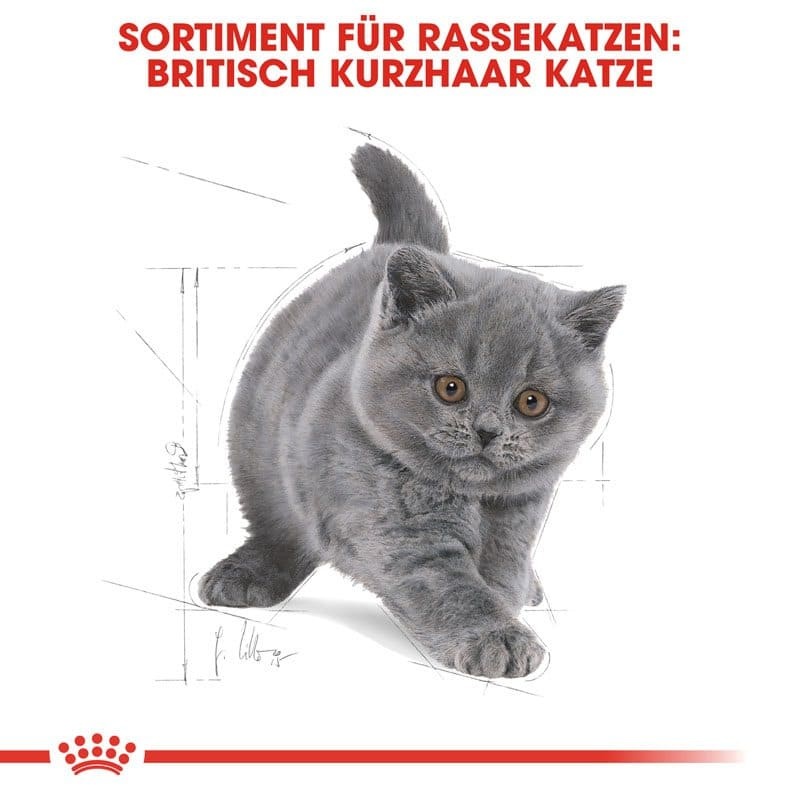 FBN Kitten Brit.Shorthair 400g
