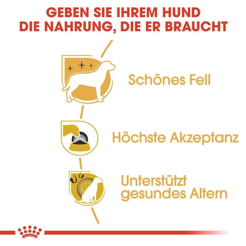 BHN Yorkshire Terrier 7.5kg