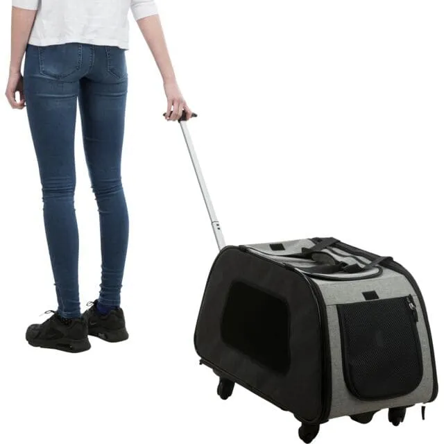 Trolley, abnehmbares Fahrgestell, 34 × 43 × 67 cm, schwarz/grau