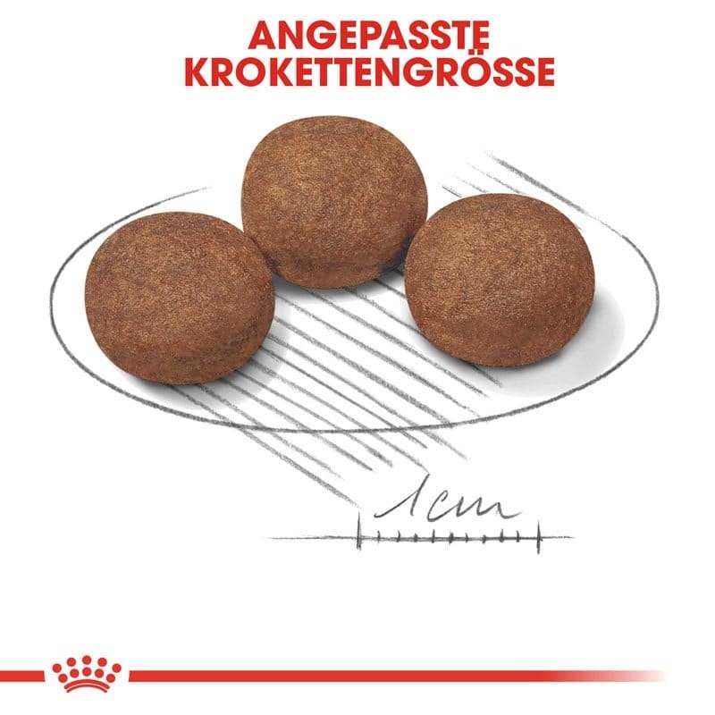 SHN Medium Puppy 4kg