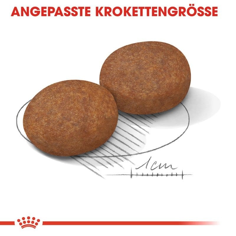 SHN Medium Adult 7+ 4kg