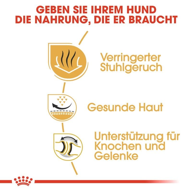 BHN English Bulldog 3kg