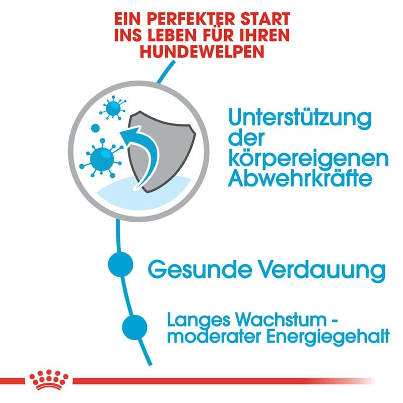 SHN Maxi Junior 15kg