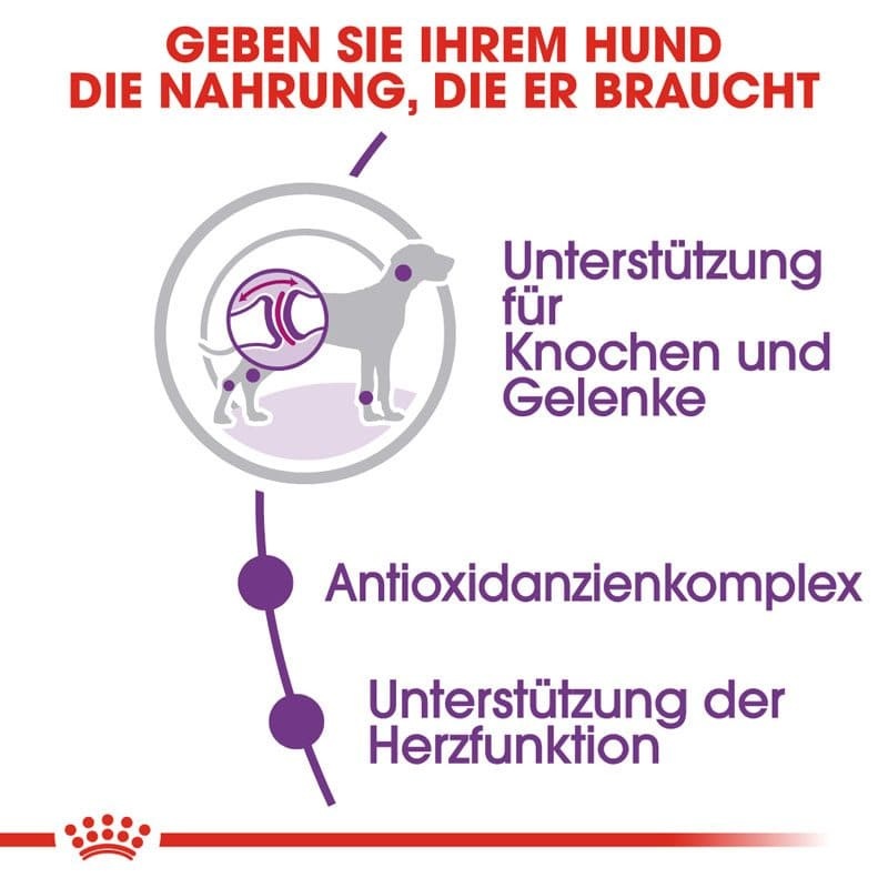 SHN Giant Adult 15kg