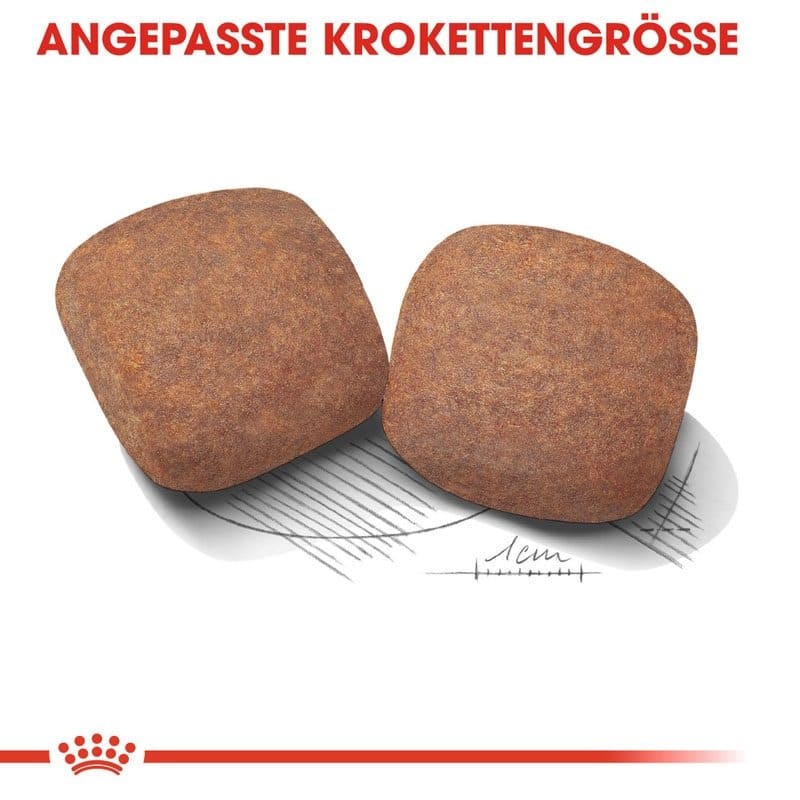 SHN Giant Adult 15kg