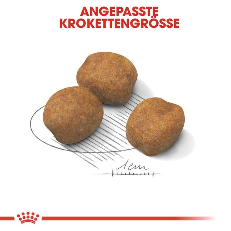 SHN Giant Puppy 3.5kg