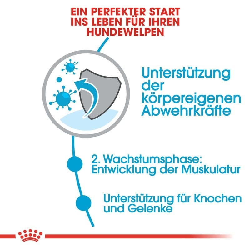 SHN Giant Junior 15kg