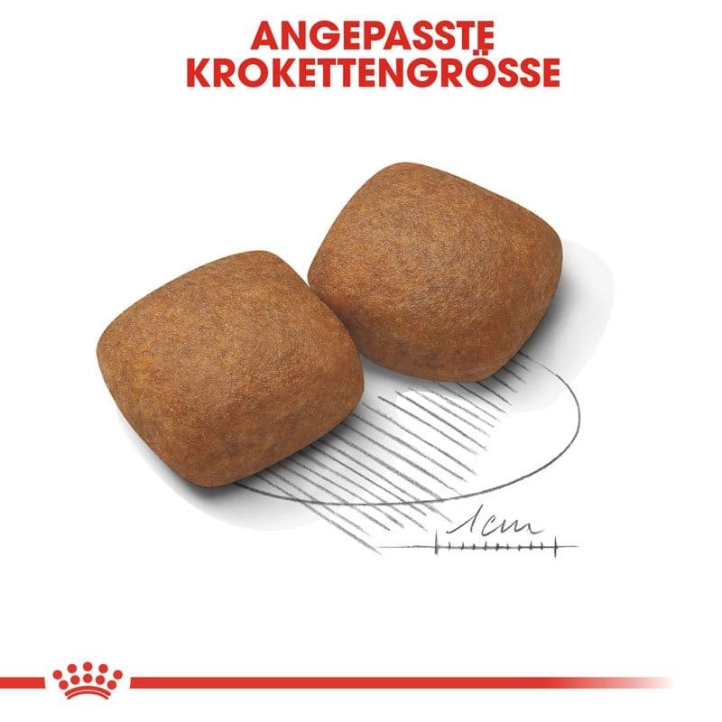 SHN Giant Junior 15kg