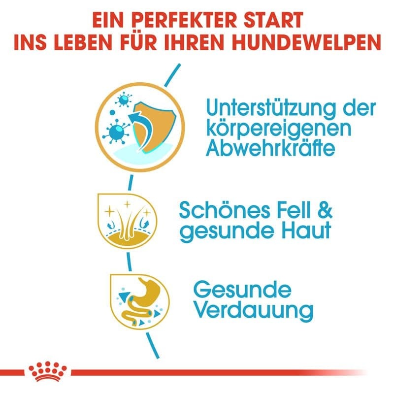 BHN Golden Retriev.Junior 12kg