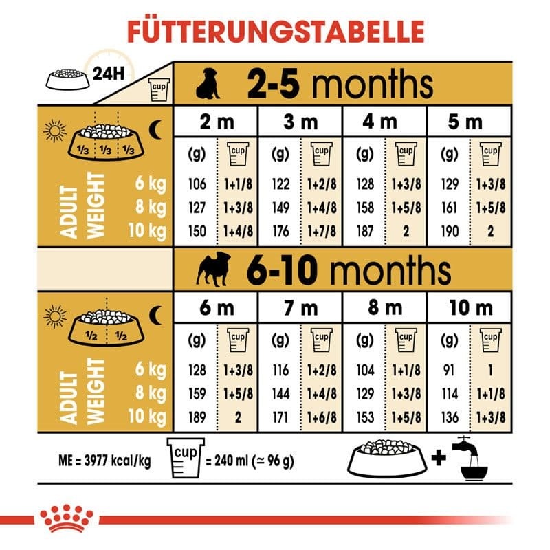 BHN Pug Junior 1.5kg