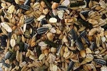 Meerschweinchenfutter 5 KG