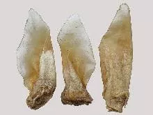 Beef Plus light 300 G