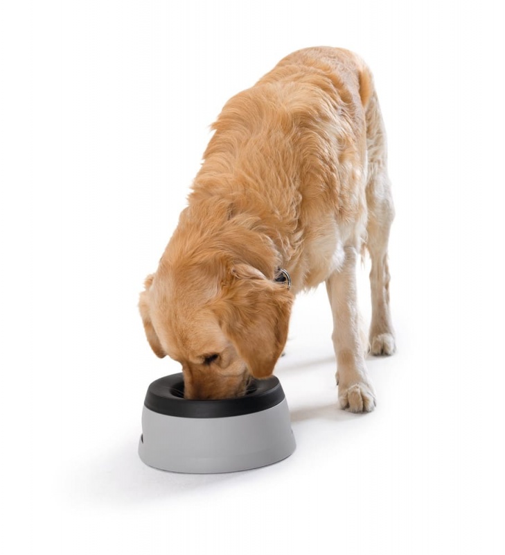 Reisenapf Road Refresher