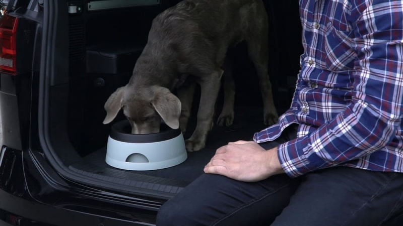 Reisenapf Road Refresher