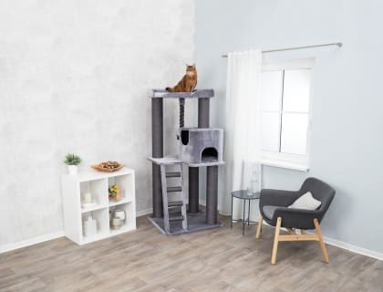 Kratzbaum XXL Sergio