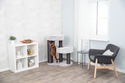 Kratzbaum XXL Daniele