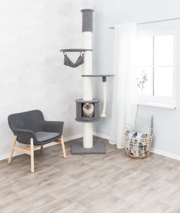 Kratzbaum XXL Fidele. deckenhoch