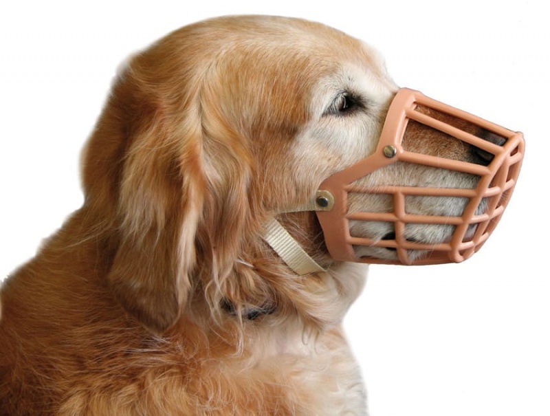 SP Maulkorb aus Kunststoff, Grösse 3