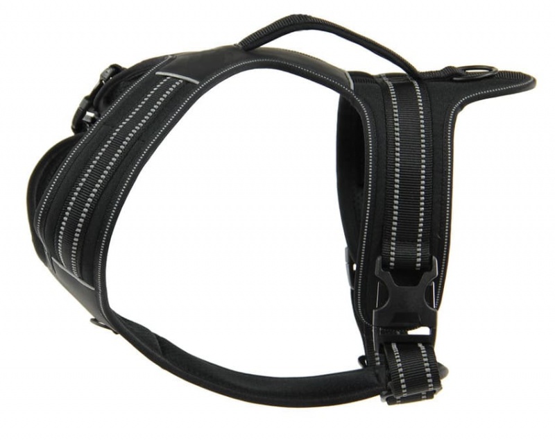 swisspet Hundegeschirr Adven, L schwarz