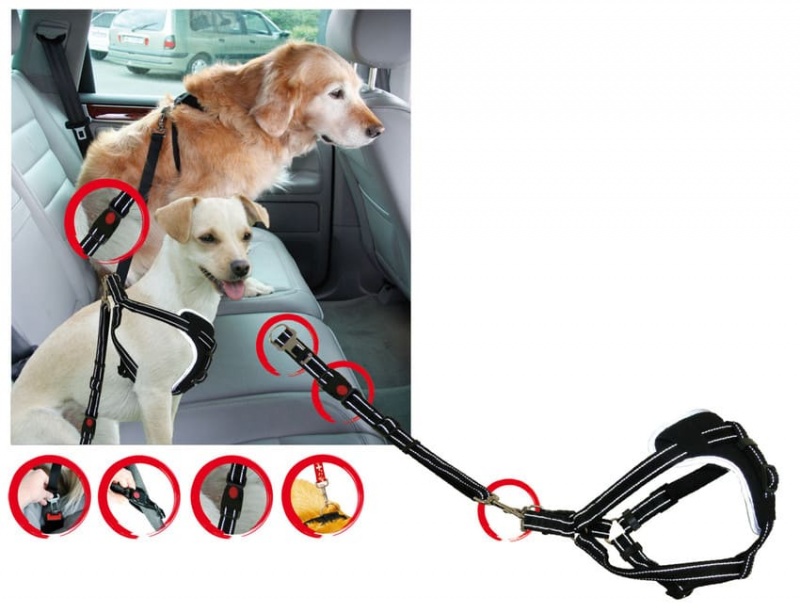 Sicherheitsgeschirr DogSafe, Gr. M, sw