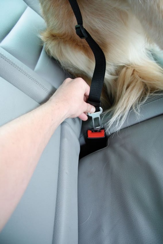 Sicherheitsgeschirr DogSafe, Gr. L, sw